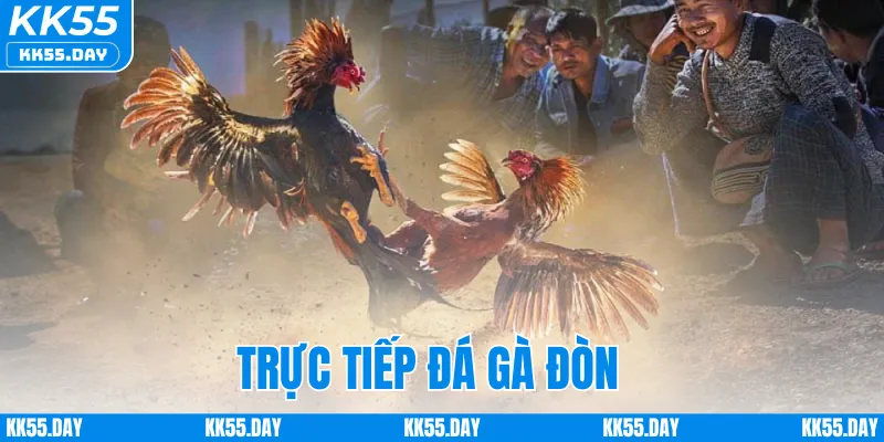 Xem Trực Tiếp Đá Gà Đòn Full HD Sắc Nét Ngay Tại KK55 1 Xem Trực Tiếp Đá Gà Đòn Full HD Sắc Nét Ngay Tại KK55